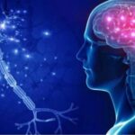 doctor savu nicoleta cdtbratianu